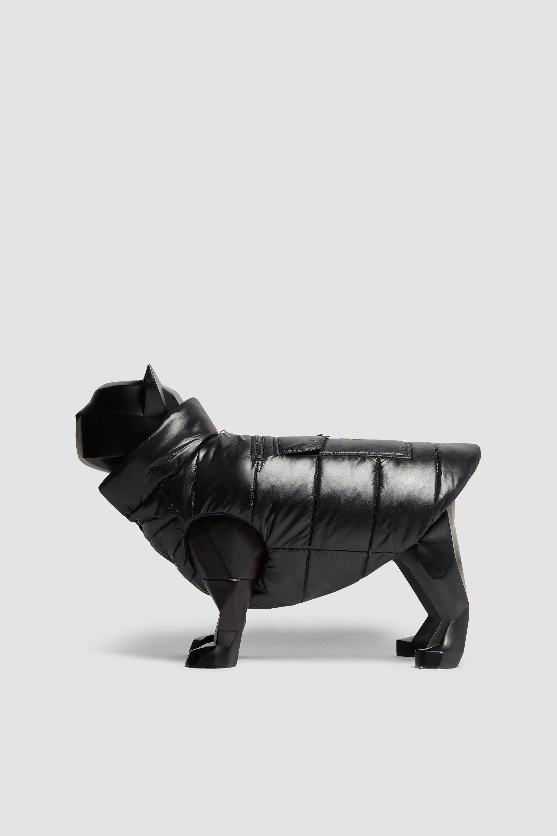 Moncler poldo dog couture online