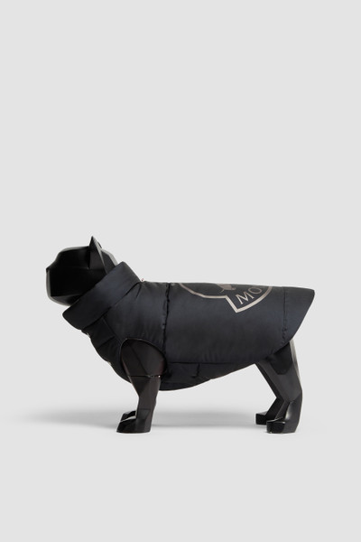 Moncler french bulldog online