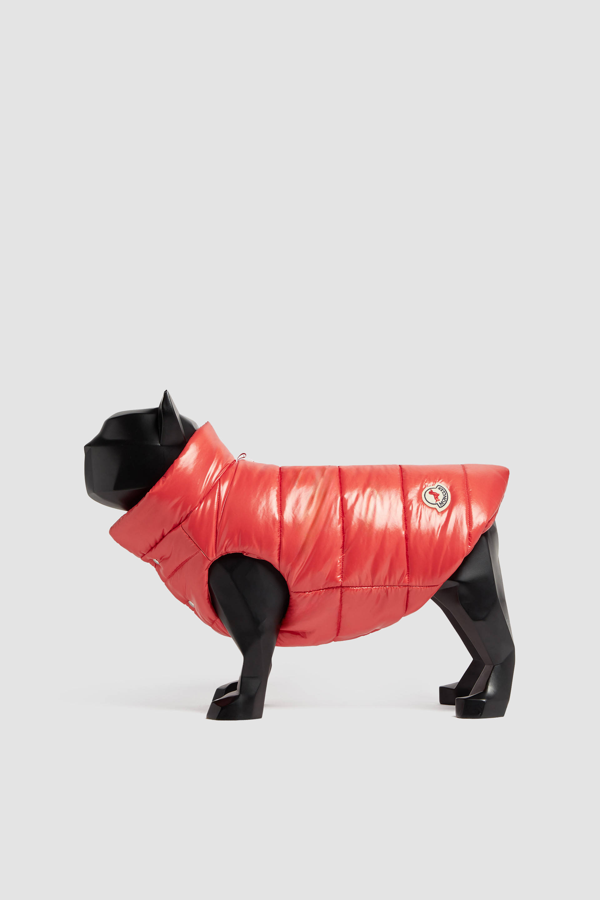 Moncler Poldo Dog Couture for Special Projects - Moncler x Poldo Dog Couture  | Moncler US