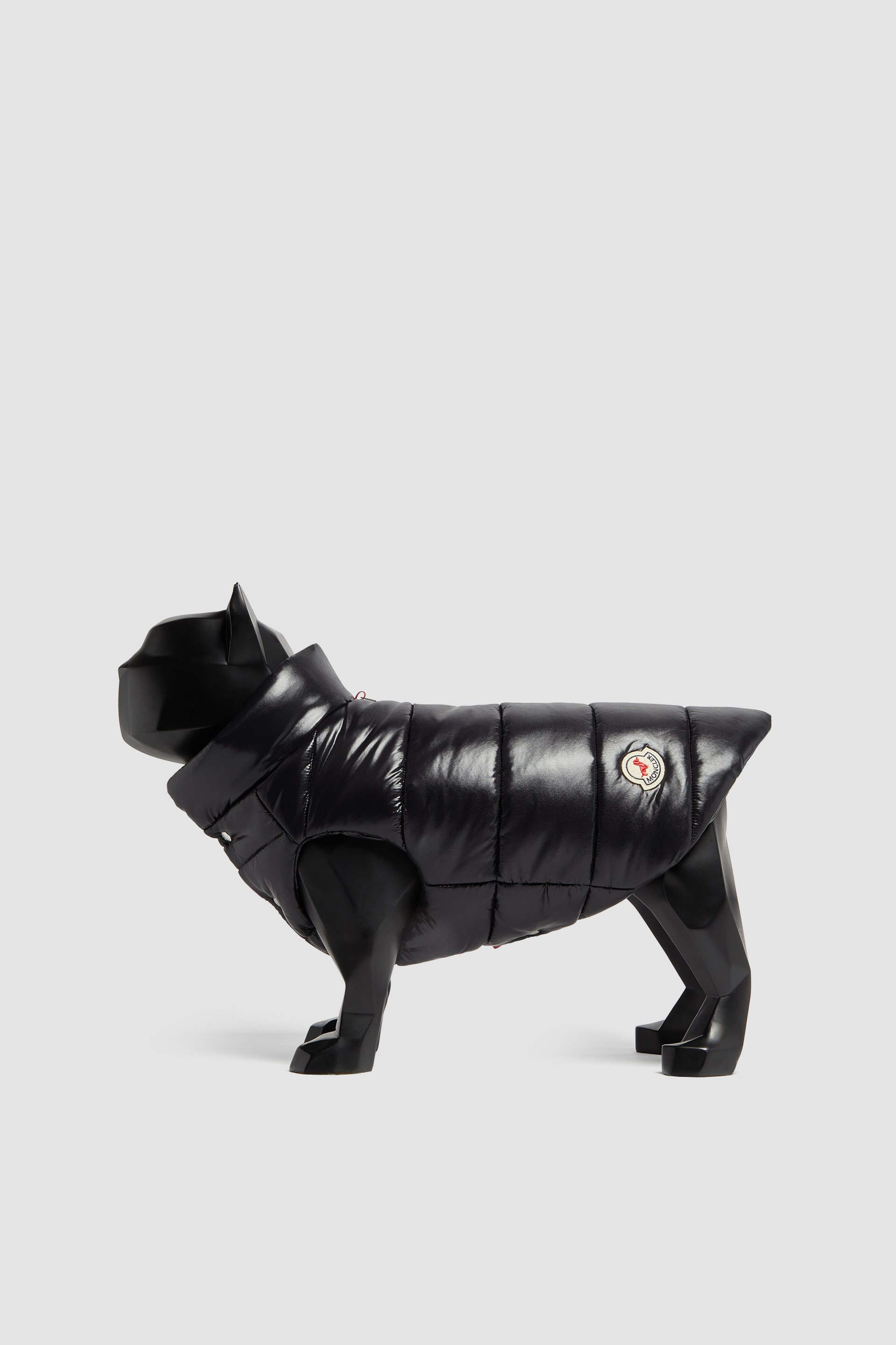 French bulldog moncler on sale