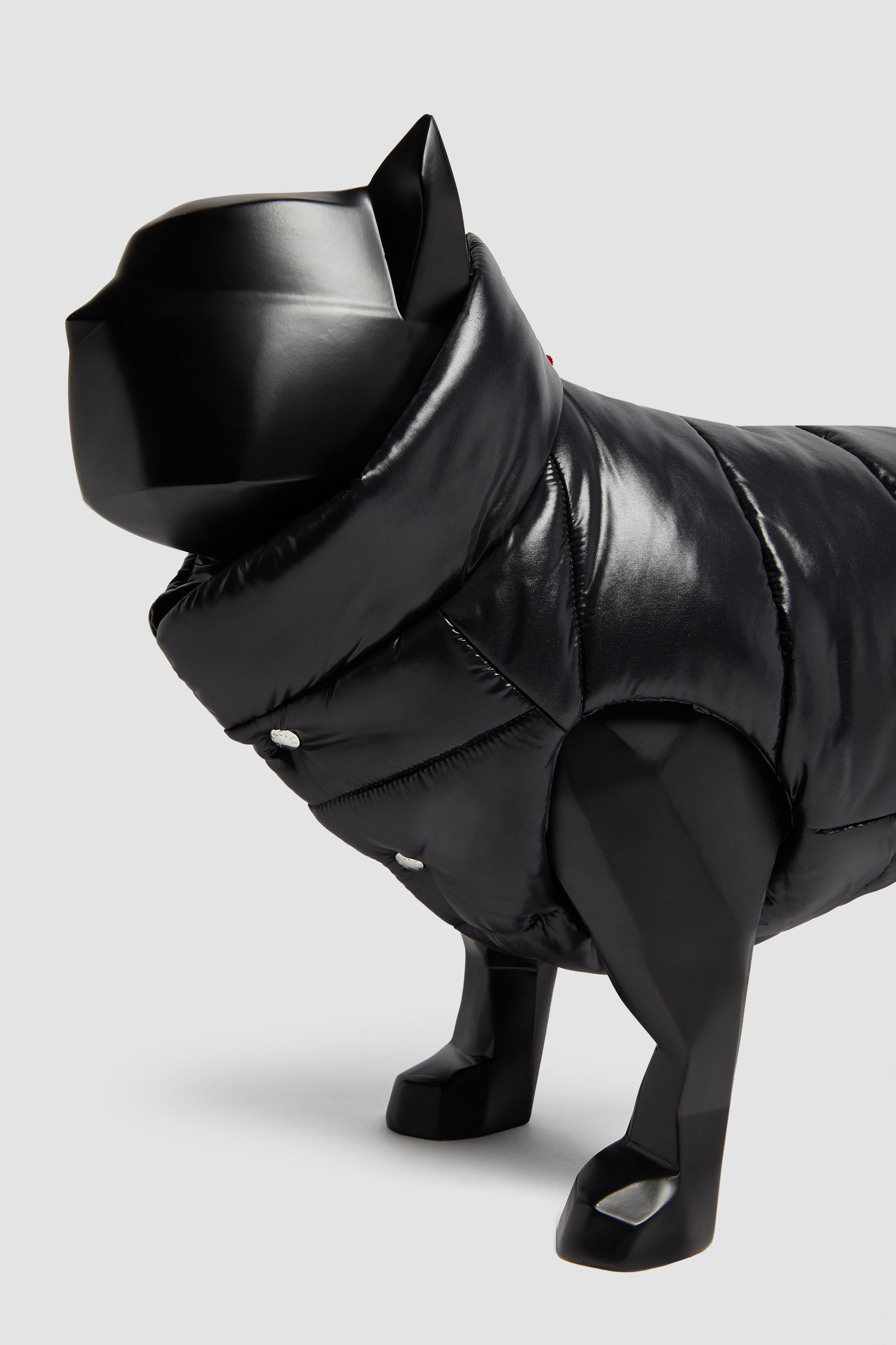 Moncler dog jacket uk online