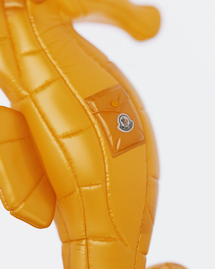 Accessories Shop now on Moncler's website